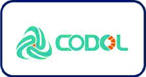 LOGO HANG 56 1
